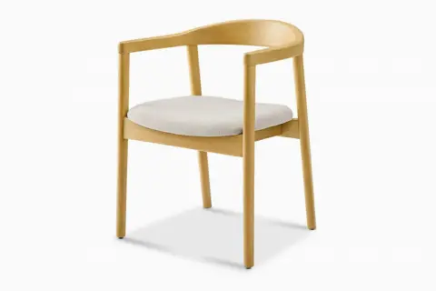 Reina Performance Fabric Armchair